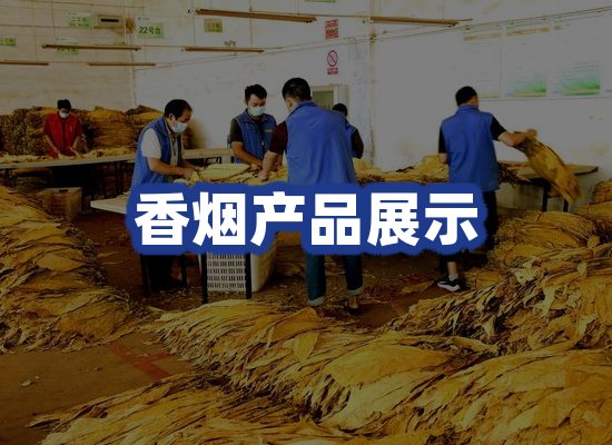 香烟产品展示