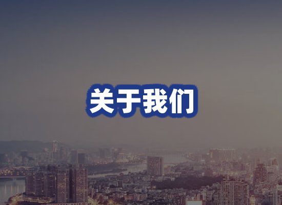 专业团队